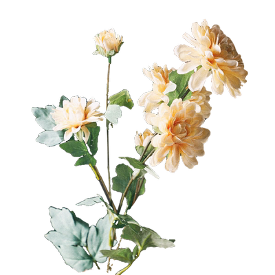 仿真雏菊花束荷兰菊甘太阳花绢花