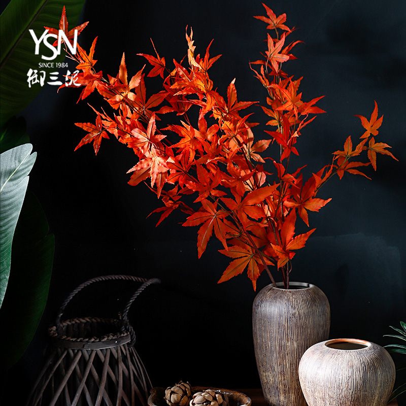 北美加拿大秋季植物树干鸡爪枫叶
