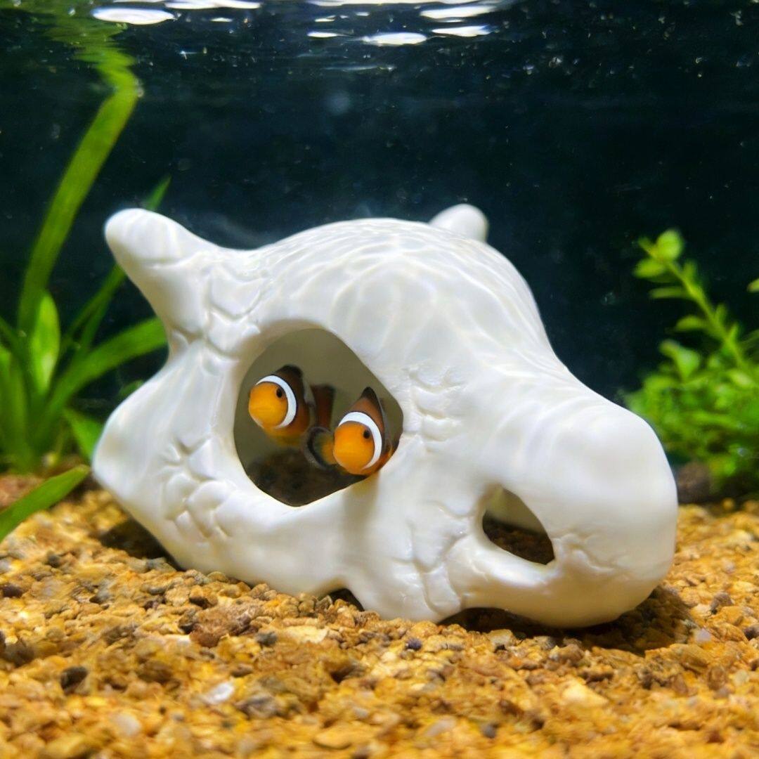 卡拉卡拉头骨躲避屋小鱼藏身洞水族造景装饰无异味创意摆件可沉水