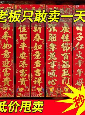 春联2026新款新年对联