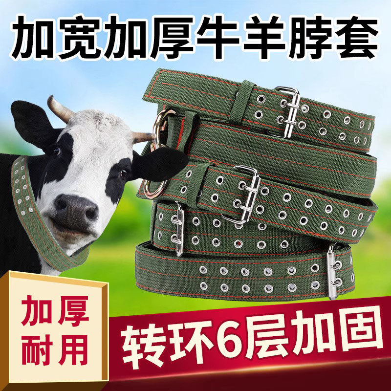 栓牛脖套牛项圈牛羊用绳拴牛绳牛项圈加厚转环牛脖套栓牛绳子牛绳,畜牧/养殖物资,畜牧/养殖器械,淘宝优惠券,粉丝福利购,淘宝优惠卷