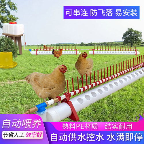 新款自动饮水器鸭子养殖设备