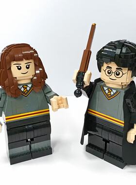 （二手）LEGO乐高76393哈利波特与赫敏格兰杰大人仔人偶拼搭积木