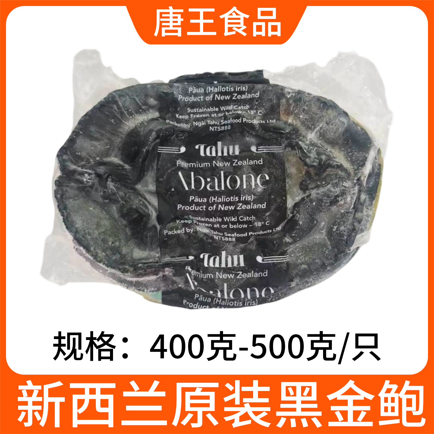 新西兰黑金鲍鱼海鲜速冻超大鲍鱼