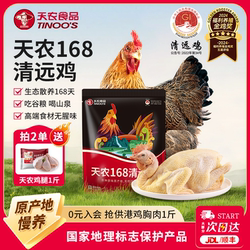 天农138-168天广东正宗清远鸡整只生鲜1KG农家散养土鸡新鲜走地鸡