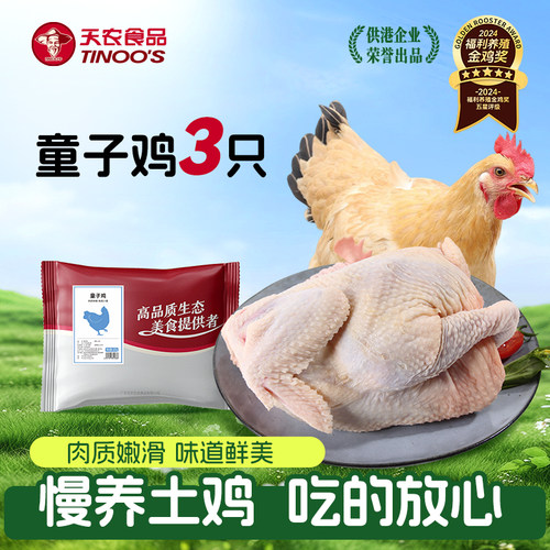 天农童子鸡肉质鲜嫩多汁特惠超值