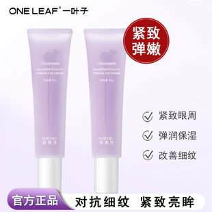 一叶子花而生兰花眼霜女保湿 滋润紧致眼周改善干纹细纹官方正品