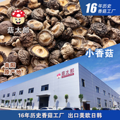 菇太郎小香菇珍珠菇干货迷你无膜农家特产 包邮 1CM纽扣菇炸香菇