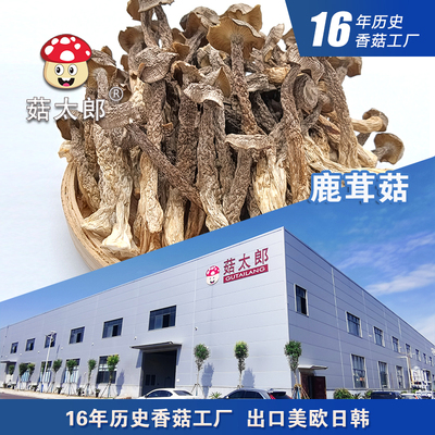 菇太郎鹿茸菇干货特产蘑菇煲汤