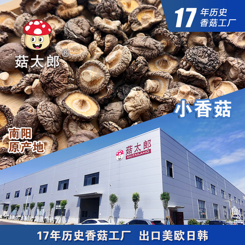 菇太郎小香菇新货珍珠菇250g包邮农家特产迷你纽扣菇干货炸香菇
