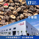 菇太郎小香菇新货珍珠菇250g 农家特产迷你纽扣菇干货炸香菇 包邮