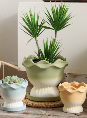 简约彩色渐变花朵口陶瓷素烧花盆陶盆透气吸水郁金香吊兰多肉盆栽