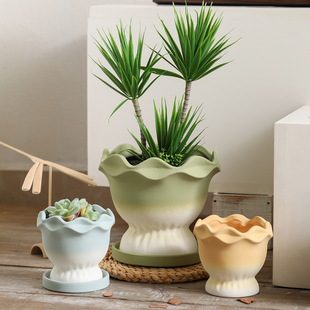 简约彩色渐变花朵口陶瓷素烧花盆陶盆透气吸水郁金香吊兰多肉盆栽