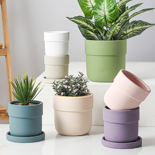 奶油色陶瓷花盆素烧陶土胚带托盘