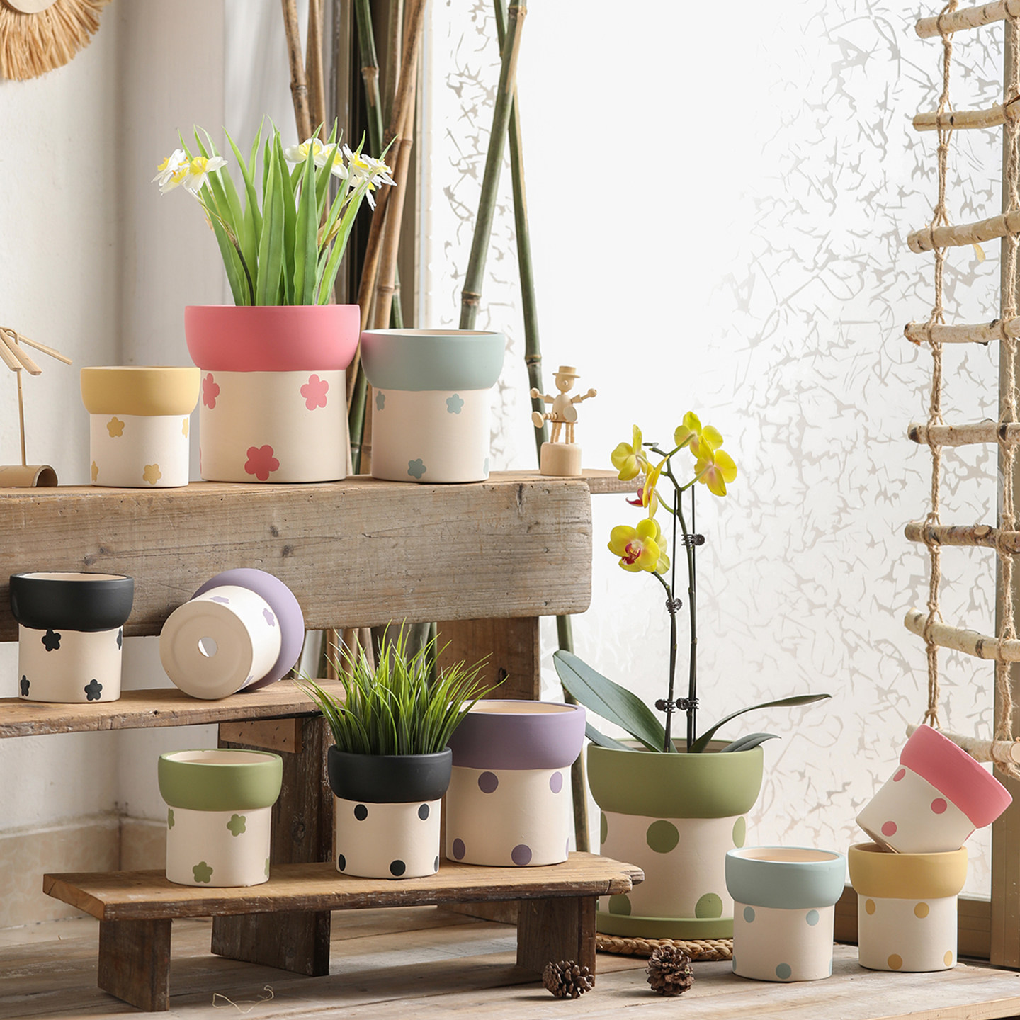 DIY彩绘印刻陶瓷素烧胚花盆陶土透气不烂根有底孔种植盆栽蝴蝶兰,鲜花速递/花卉仿真/绿植园艺,花盆,淘宝优惠券,粉丝福利购,淘宝优惠卷