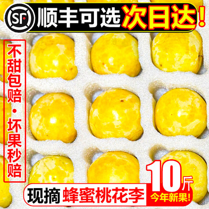 【顺丰冷鲜】蜂糖桃花李10斤新鲜水果枫糖李子玉皇冰糖李黄金奈李