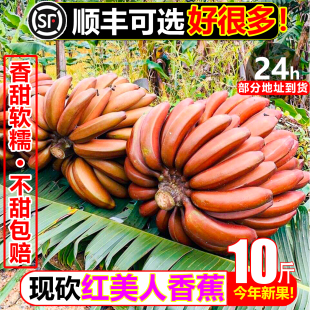 稀有红美人香蕉10斤新鲜水果红蕉banana甜糯香蕉现砍现发红皮芭蕉