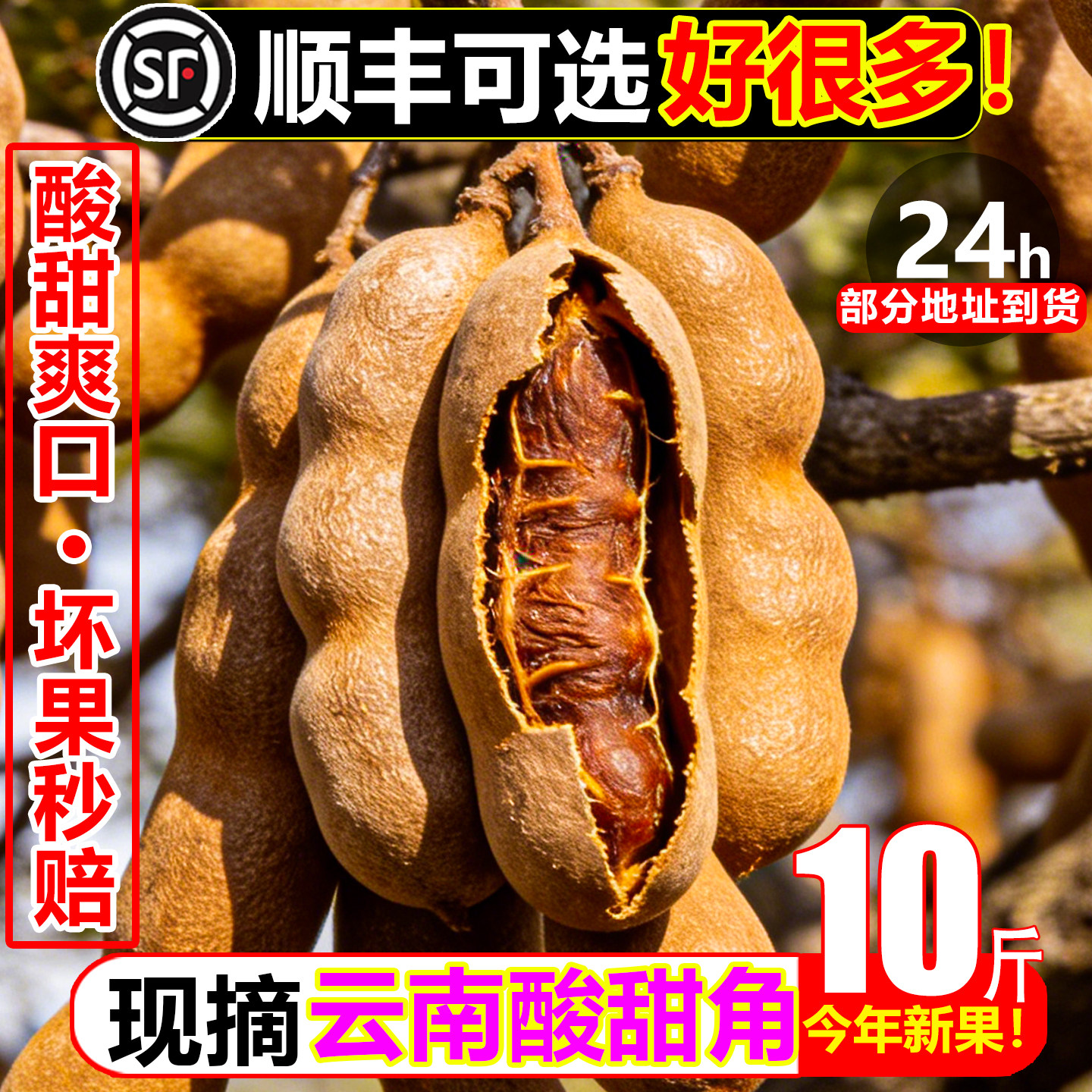 现摘甜酸角10斤新鲜水果罗望子云南特产孕妇开胃带壳酸豆带壳果脯