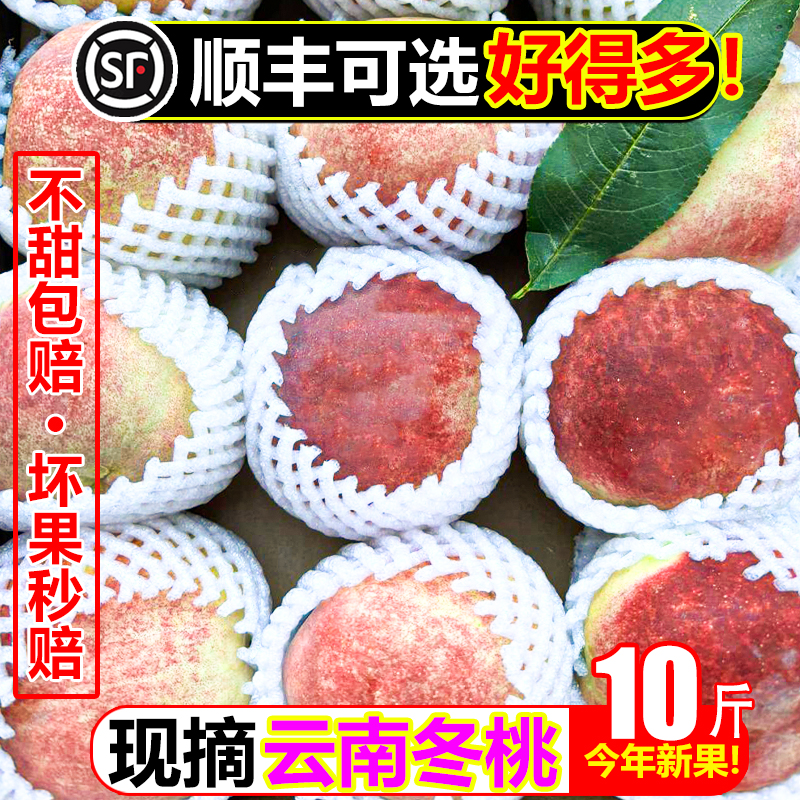 【顺丰次日达】云南脆甜冬桃10斤