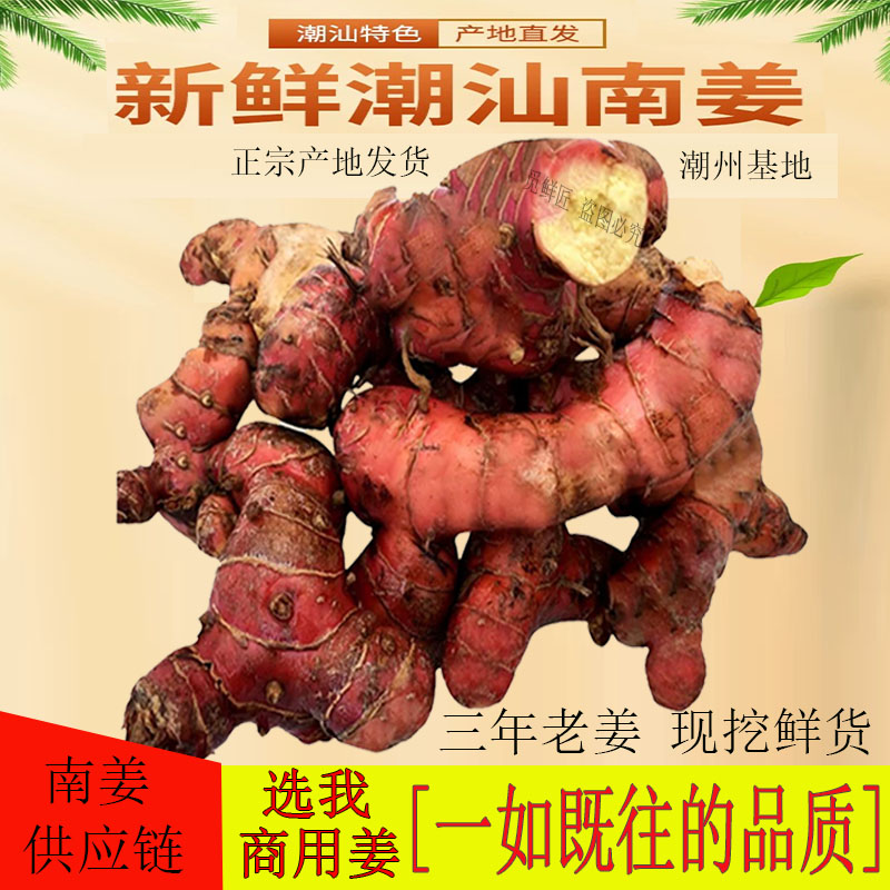 潮汕新鮮南姜5斤紅皮南姜山姜蘆葦姜牛羊肉火鍋去腥味提味老南姜