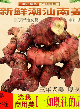 潮汕新鲜南姜5斤红皮南姜山姜芦苇姜牛羊肉火锅去腥味提味老南姜