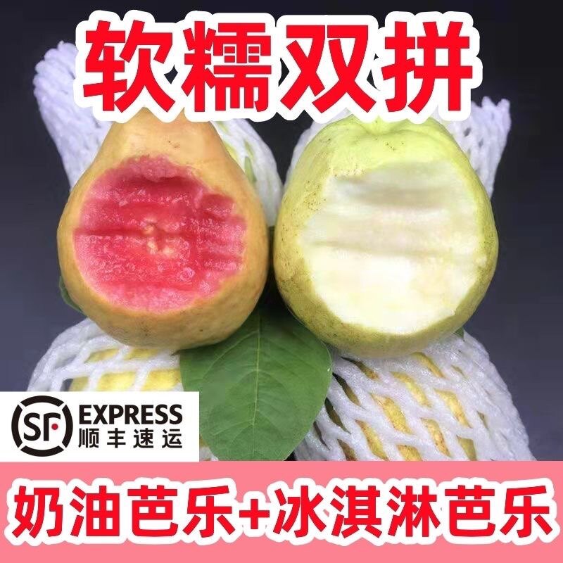 福建新鲜水果芭乐觅鲜匠