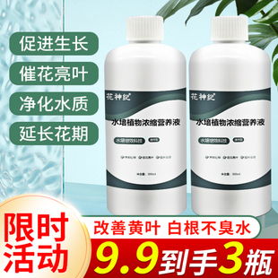 水培植物营养液通用型碗莲睡莲专用观音竹富贵竹郁金香铜钱草绿萝