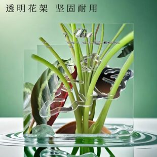 植物花茎固定器防倒伏枝干收拢架龟背竹植物根茎生长支架支撑器