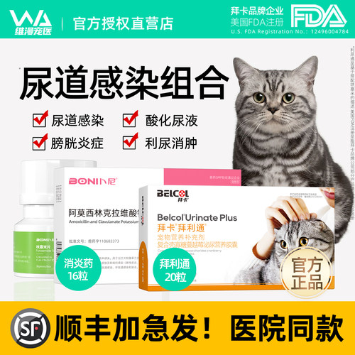 【顺丰加急】猫尿血丨泌尿感染药