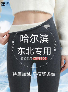 雅鹿女士加绒加厚秋裤保暖裤冬季女款外穿东北防寒棉裤打底裤绒裤