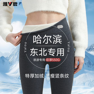雅鹿女士加绒加厚秋裤保暖裤冬季女款外穿东北防寒棉裤打底裤绒裤