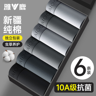 内裤 衩2025新款 男生纯棉抗菌裆平角短裤 透气四角裤 头男款 雅鹿男士