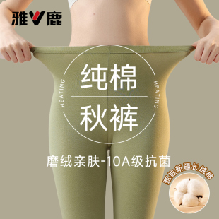 内穿打底毛线裤 雅鹿高个子秋裤 加长薄款 秋冬季 女士纯棉全棉保暖裤