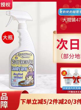 美国老奶奶的秘密衣物去污剂473ml去污笔去渍液洗衣液除渍剂大瓶