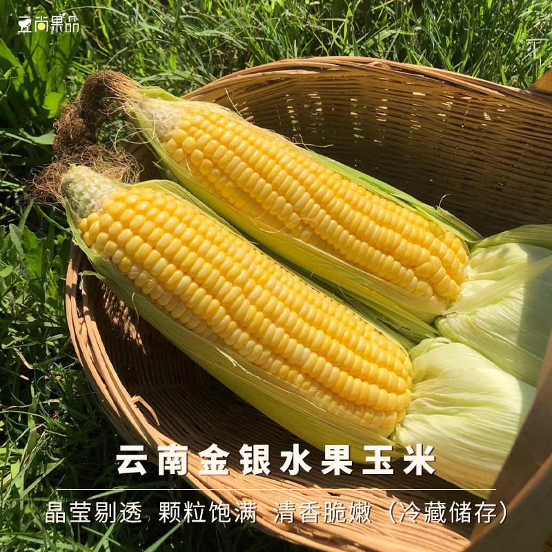 豆尚果品云南金银水果玉米新鲜甜玉米时令蔬果爆汁整箱玉米棒带皮,水产肉类/新鲜蔬果/熟食,新鲜玉米,淘宝优惠券,粉丝福利购,淘宝优惠卷
