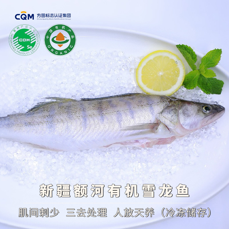 豆尚新疆额尔齐斯河有机雪龙鱼九道黑梭鲈富硒冷水鱼肉质鲜美冷链,水产肉类/新鲜蔬果/熟食,鳕鱼,淘宝优惠券,粉丝福利购,淘宝优惠卷