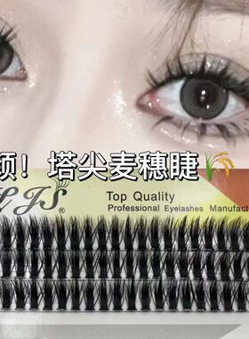 0.05粗包邮分段式麦穗款自然卷翘柔软混血芭比漫画眼自嫁接假睫毛
