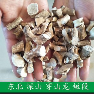东北山区穿山龙 地龙骨 穿地龙 穿龙薯蓣 穿龙骨 短段穿山龙250克