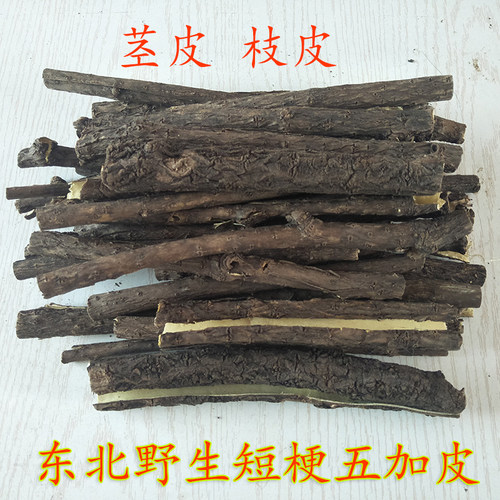 野生短梗五加皮干净新货