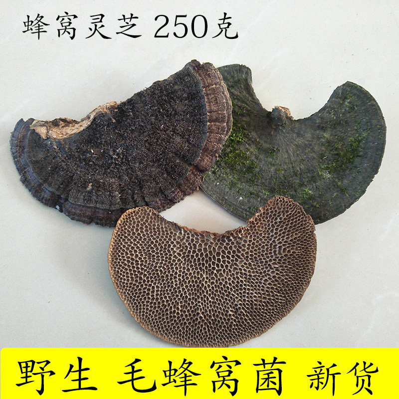 野生蜂窝灵芝 蜂窝菌 毛蜂窝菌 野生毛蜂窝菌 蜂窝灵芝 250克包邮