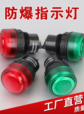 BD8030防爆防腐电源指示灯信号灯开孔30MM IP65防爆箱指示灯220V