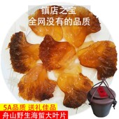 舟山产当季 包邮 精品特级野生海蜇头大叶片 非即食凉拌菜500g桶装
