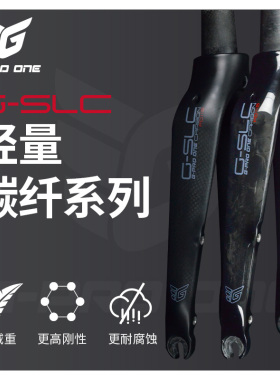 G-PRO ONE 16寸折叠车全碳纤维前叉349 305 C夹 碟刹 直管前叉