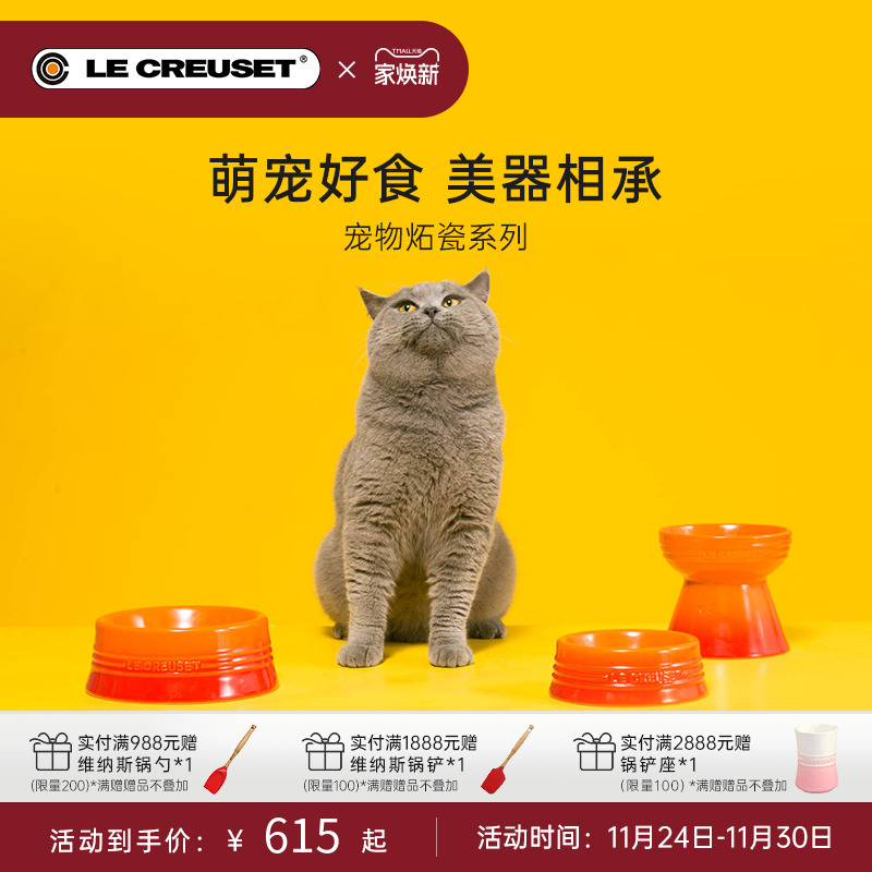 法国宠物碗高脚碗酷彩