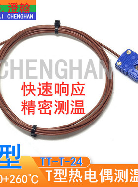 T型热电偶 T型测温线TT-T-24-SLE热电偶感温线 T型快速响应热电偶