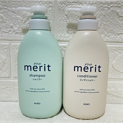 日本本土花王国民洗护套装