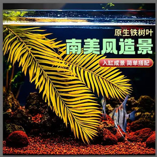 原生态简易家用水族造景铁树叶树枝南美热带雨林风格鱼缸装饰