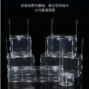 透明亚克力小型鱼缸隔离分隔盒孔雀鱼金波子鱼鹦鹉鱼专用孵化盒