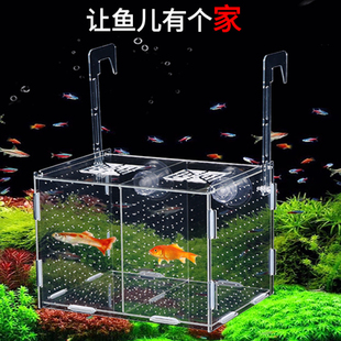 亚克力观赏鱼鱼缸孔雀鱼金波子鱼鹦鹉鱼专用隔离盒孵化育苗