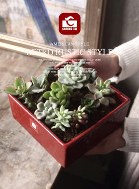 北美简约四方正方形红色陶瓷花盆创意个性绿萝多肉蝴蝶兰陶土栽器